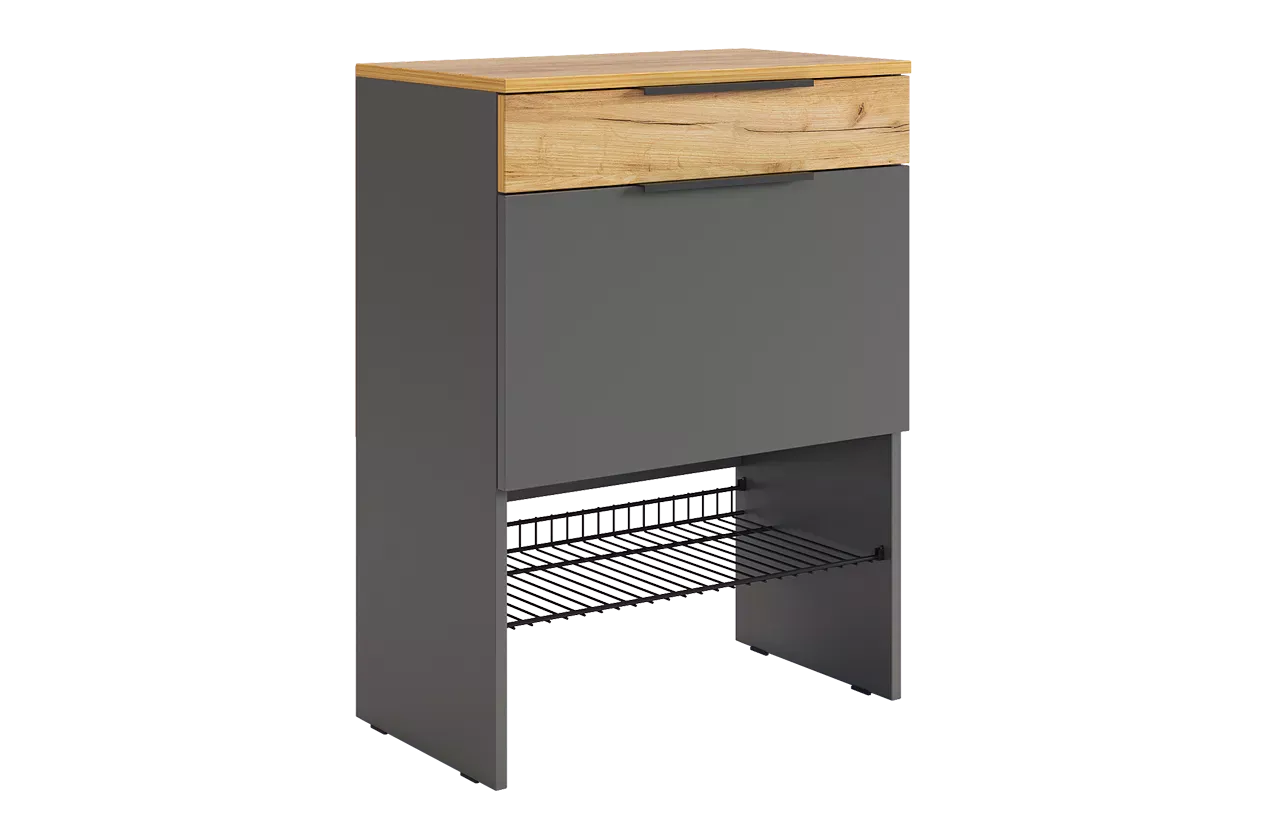 Баско Обувница (графит/дуб крафт золотой)